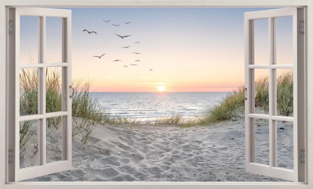 The Quiet World.  Outside the&nbsp;window