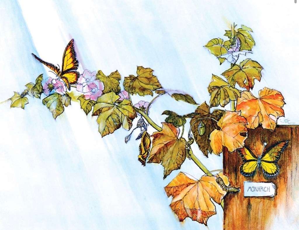 Endurance has a quiet&nbsp;voice