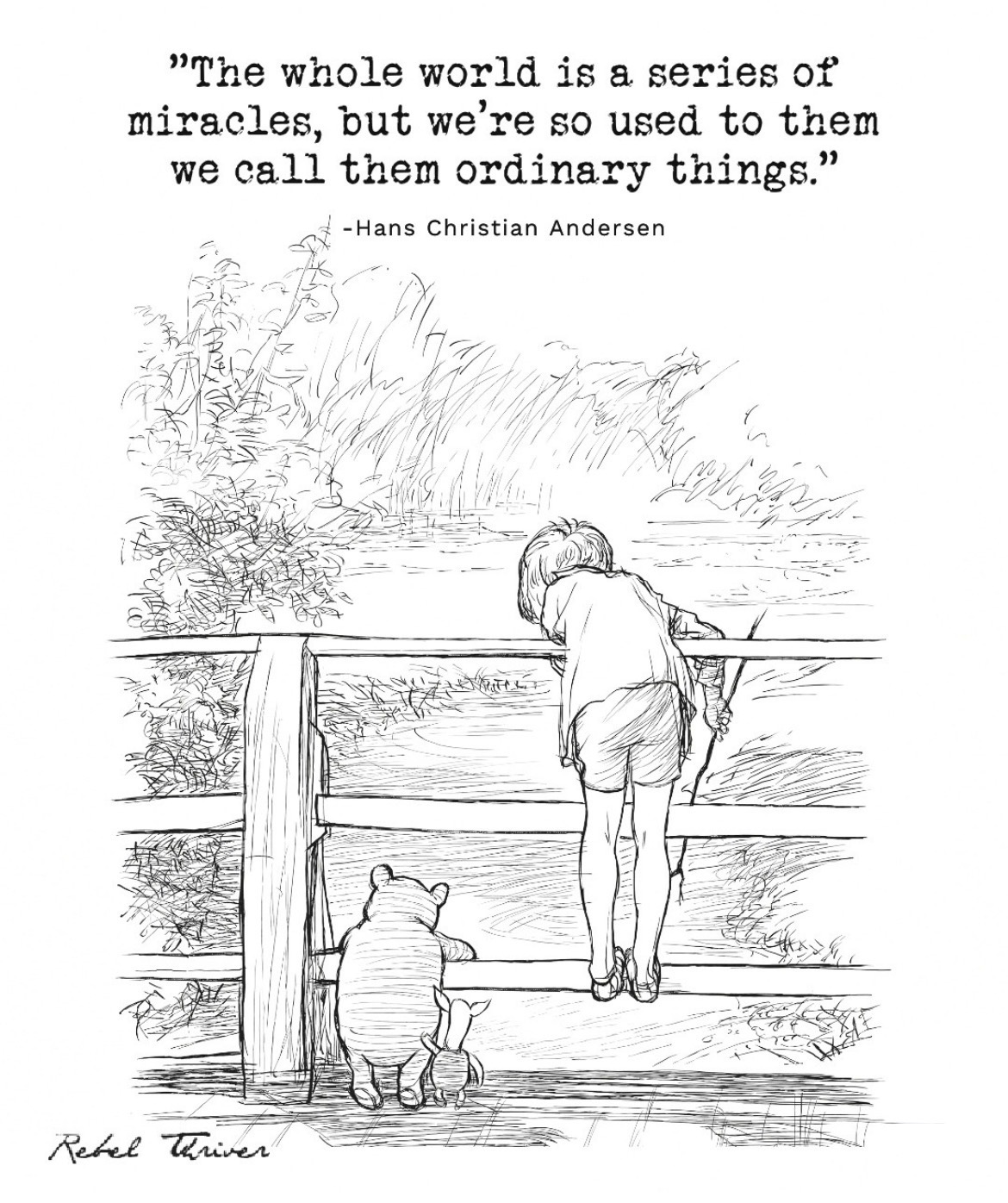 The Ordinary Miracles